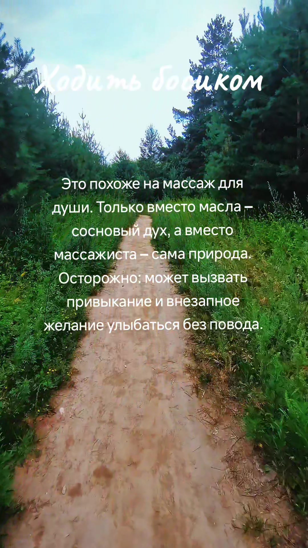 @✨Анастасия ✨