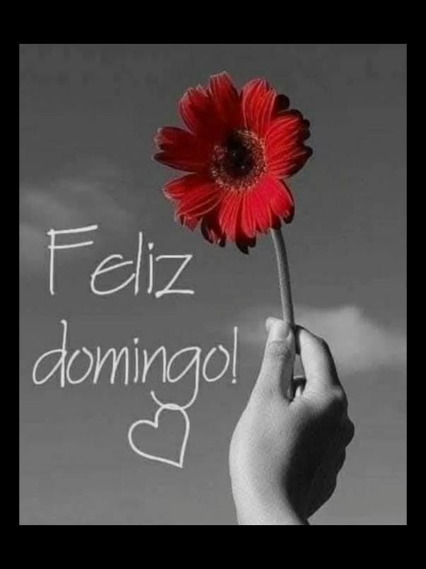 @@Manzzana