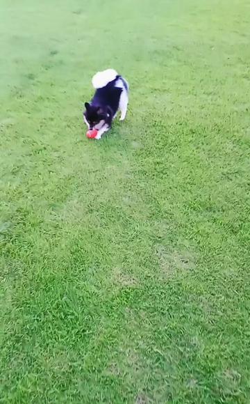 @୧⍣⃝ɷ초코ɞ୨
