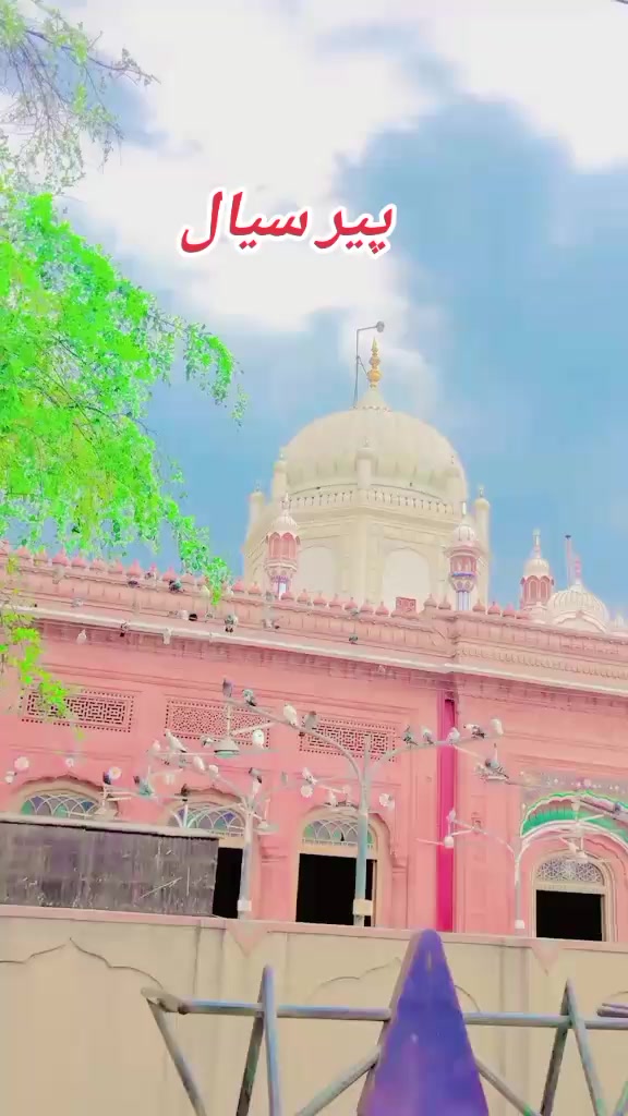 @janig03156367846