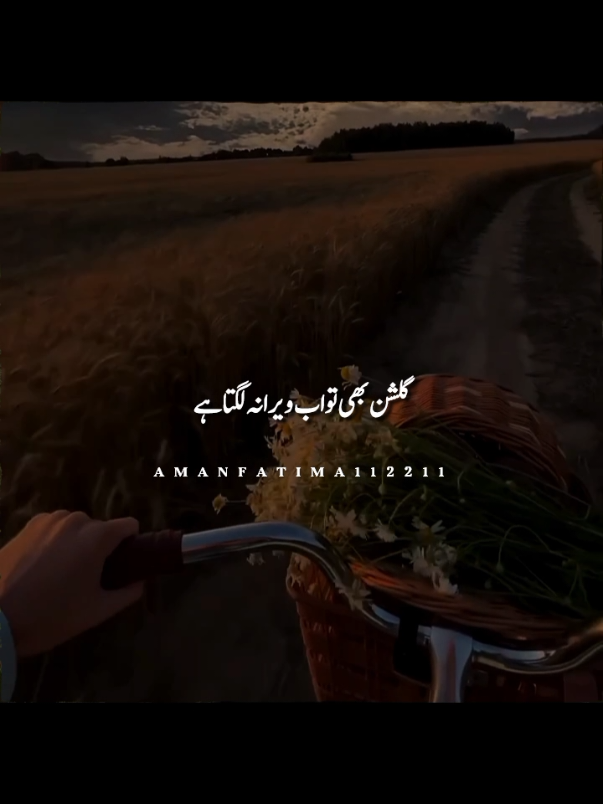 @𝙈𝙮☛𝙡𝙞𝙛𝙚➳𝙡𝙞𝙣𝙚✎𝙕✔