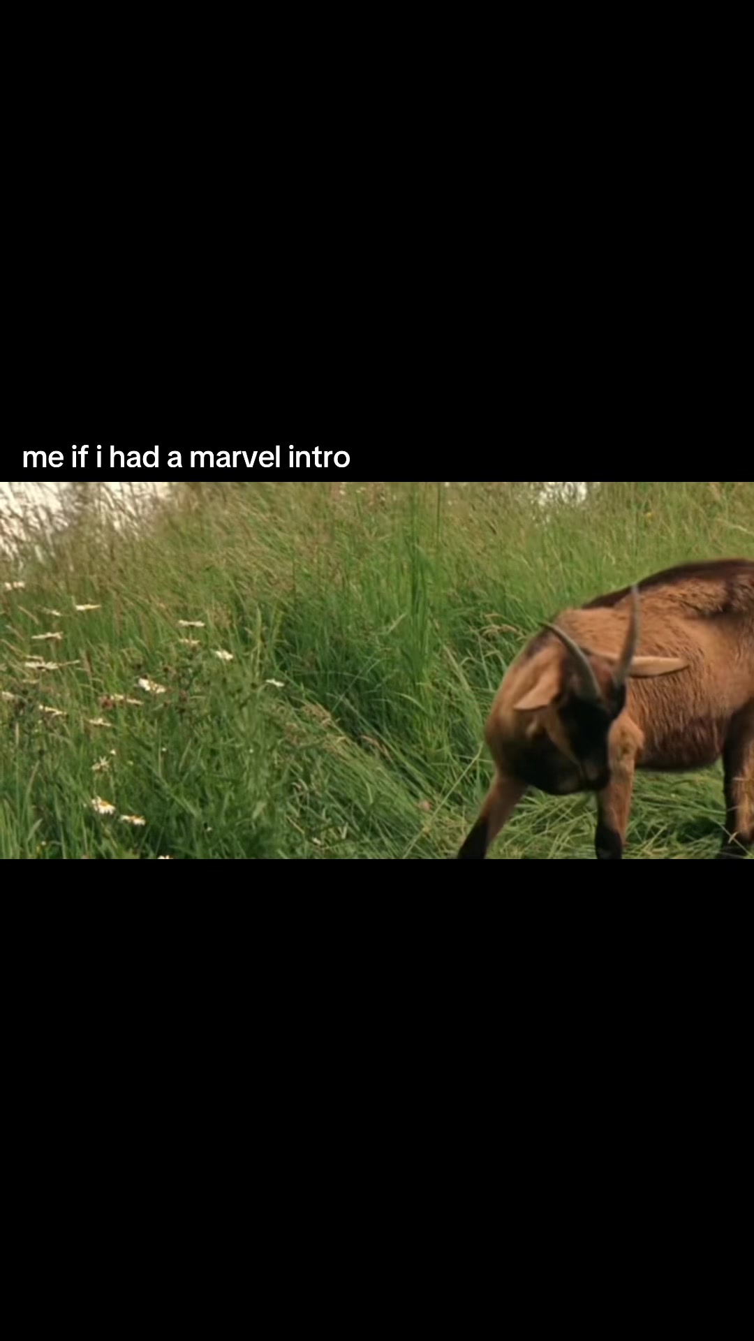 @tearantss