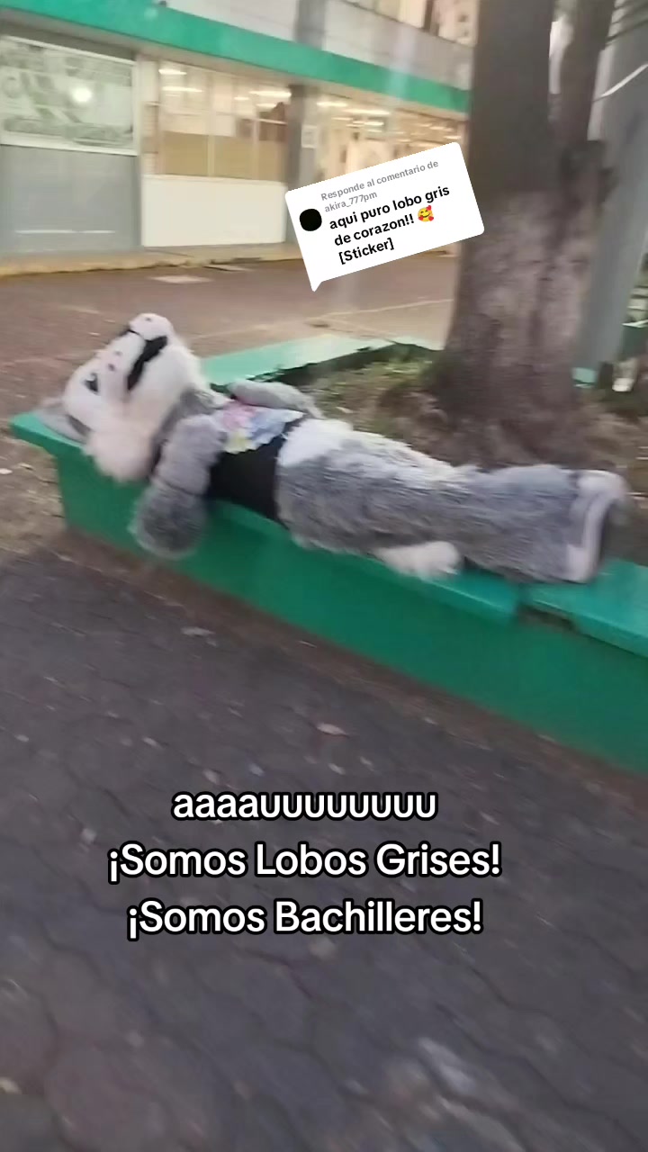 @Lobacho