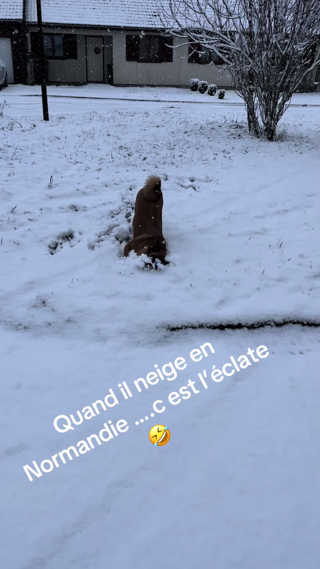 @Julie