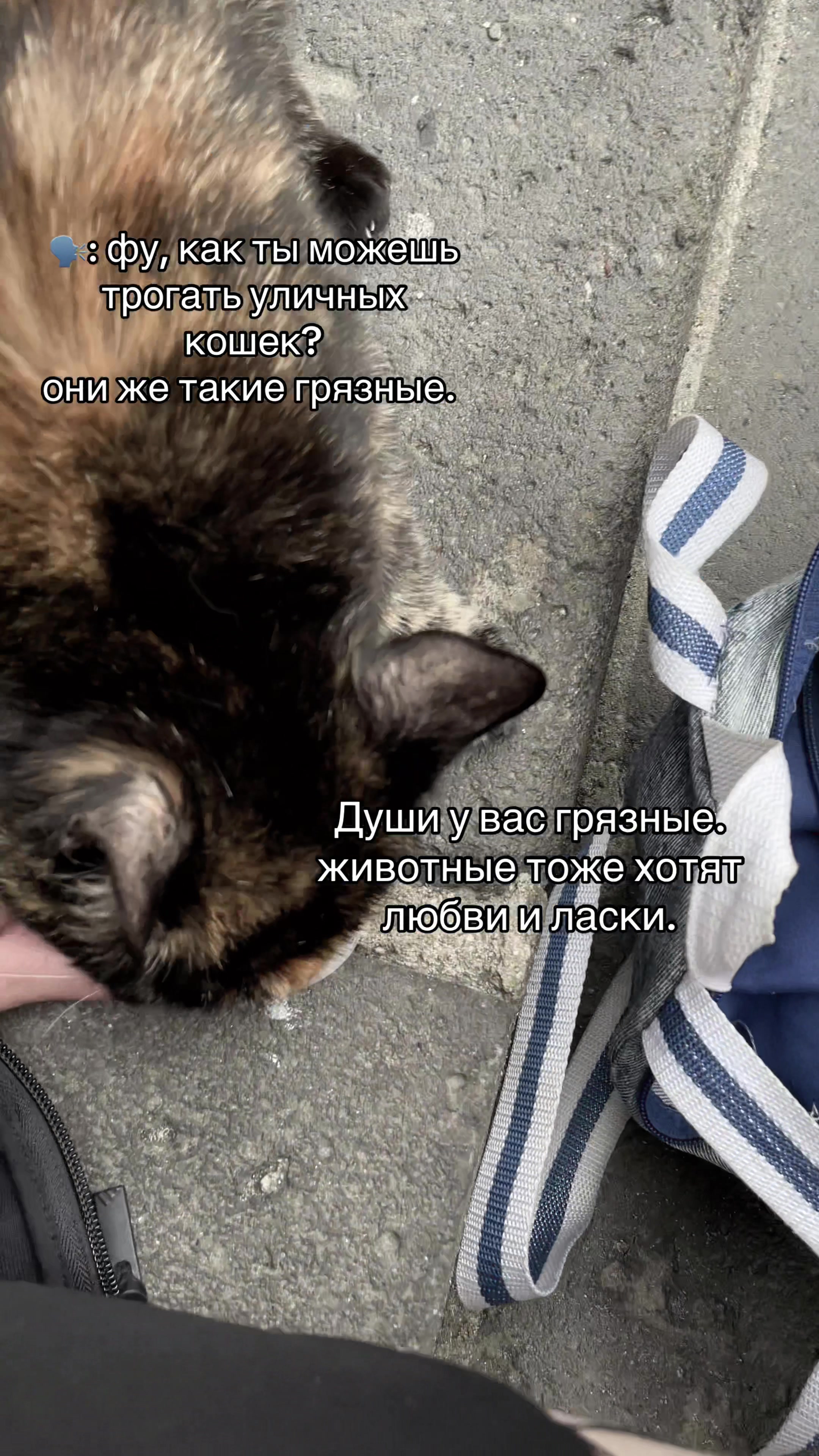 @Пластиковый крокодил 🐊 🆘