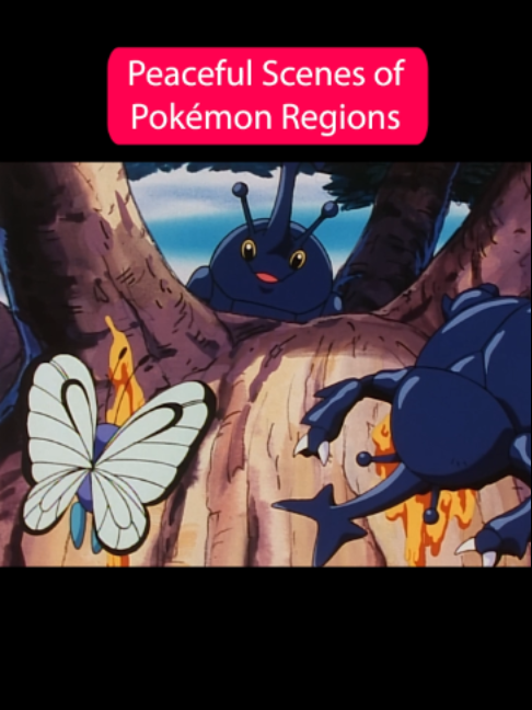 @Pok&eacute;mon Company Int&rsquo;l