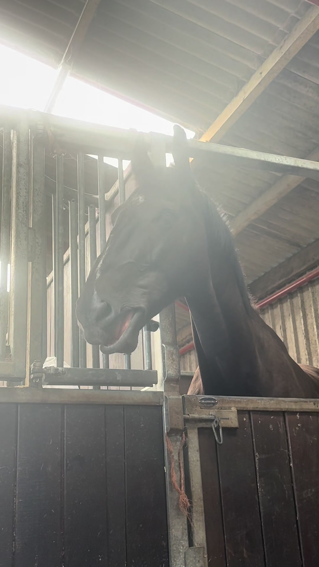 @RavenSide Equestrian