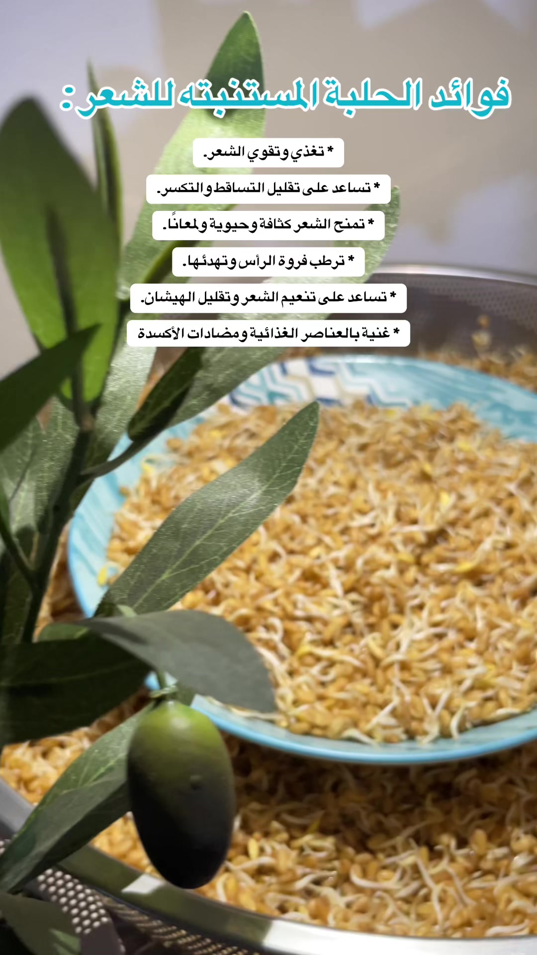 @رِقــة | RIQA