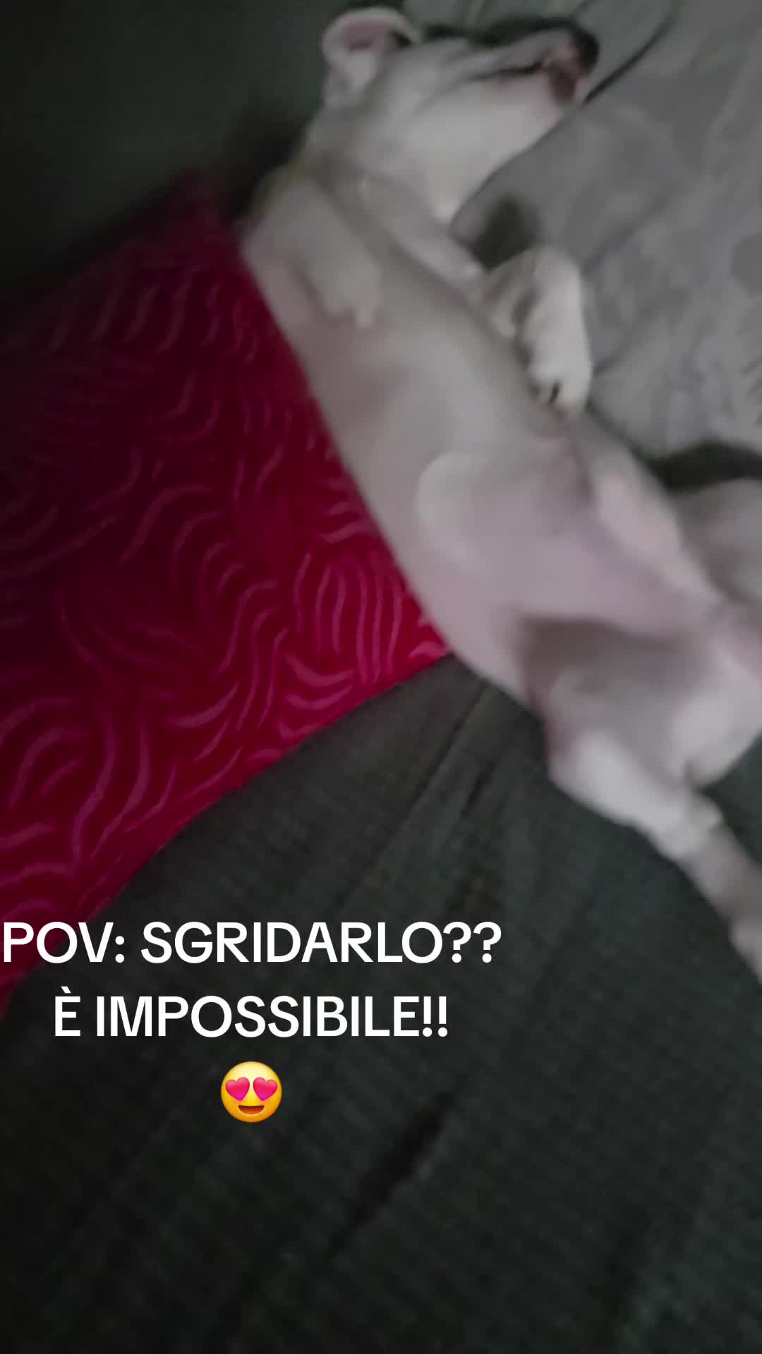 @Isa🖕