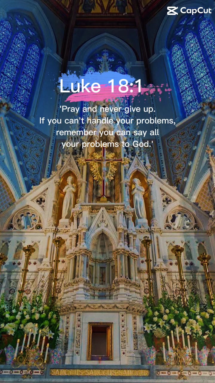 @🌹LC🌸
