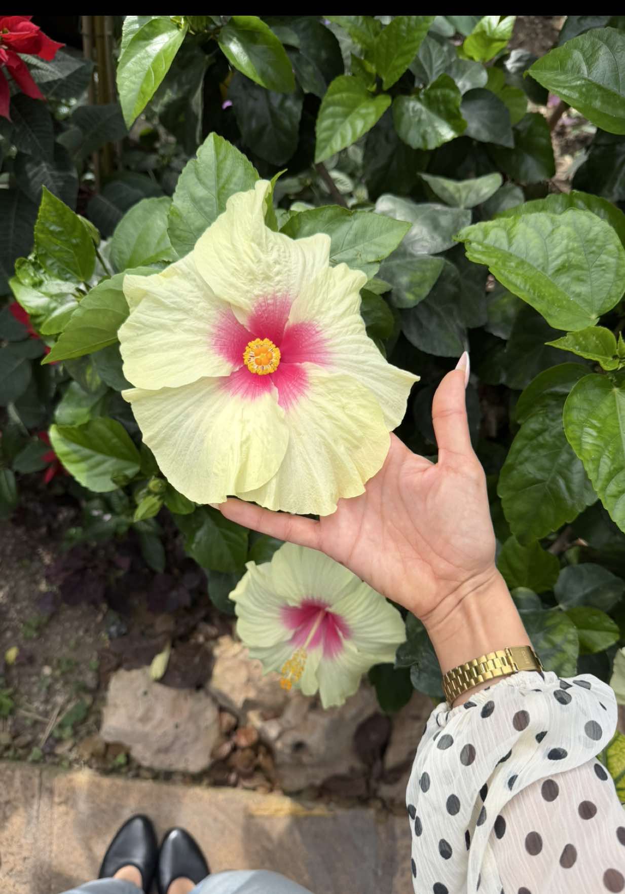@FLEUR 🌼