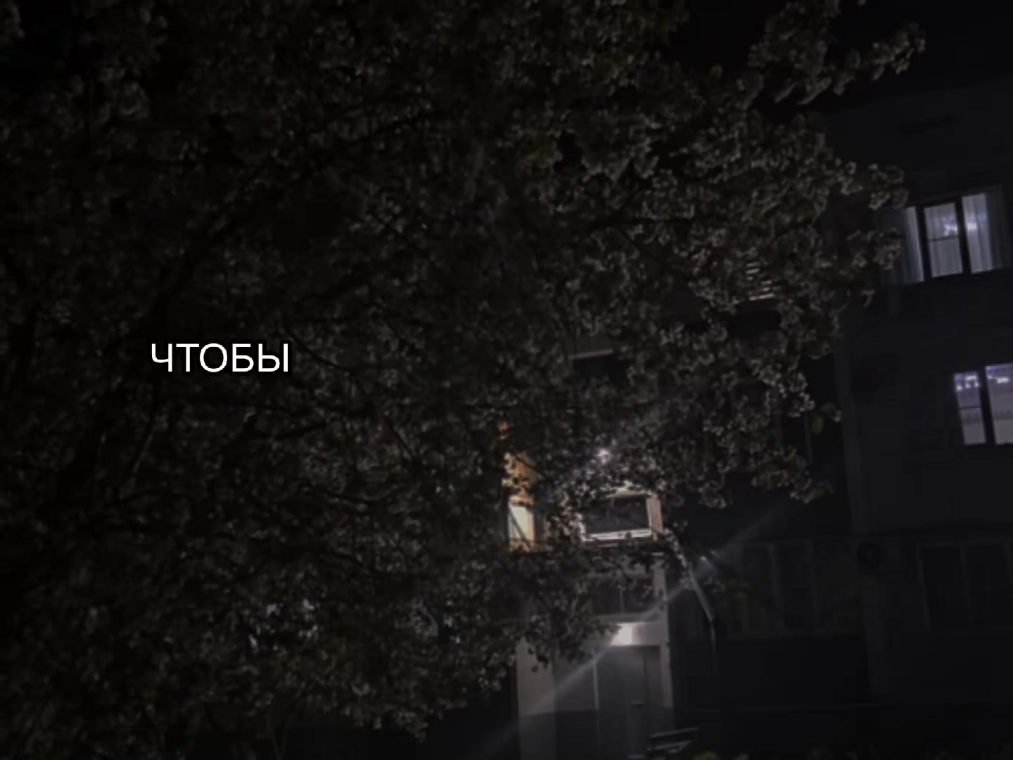 @звуки для липсингов