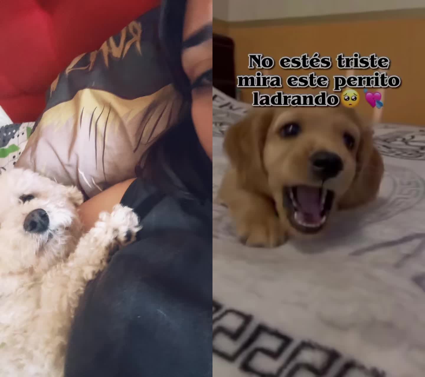 @#ElyLoka