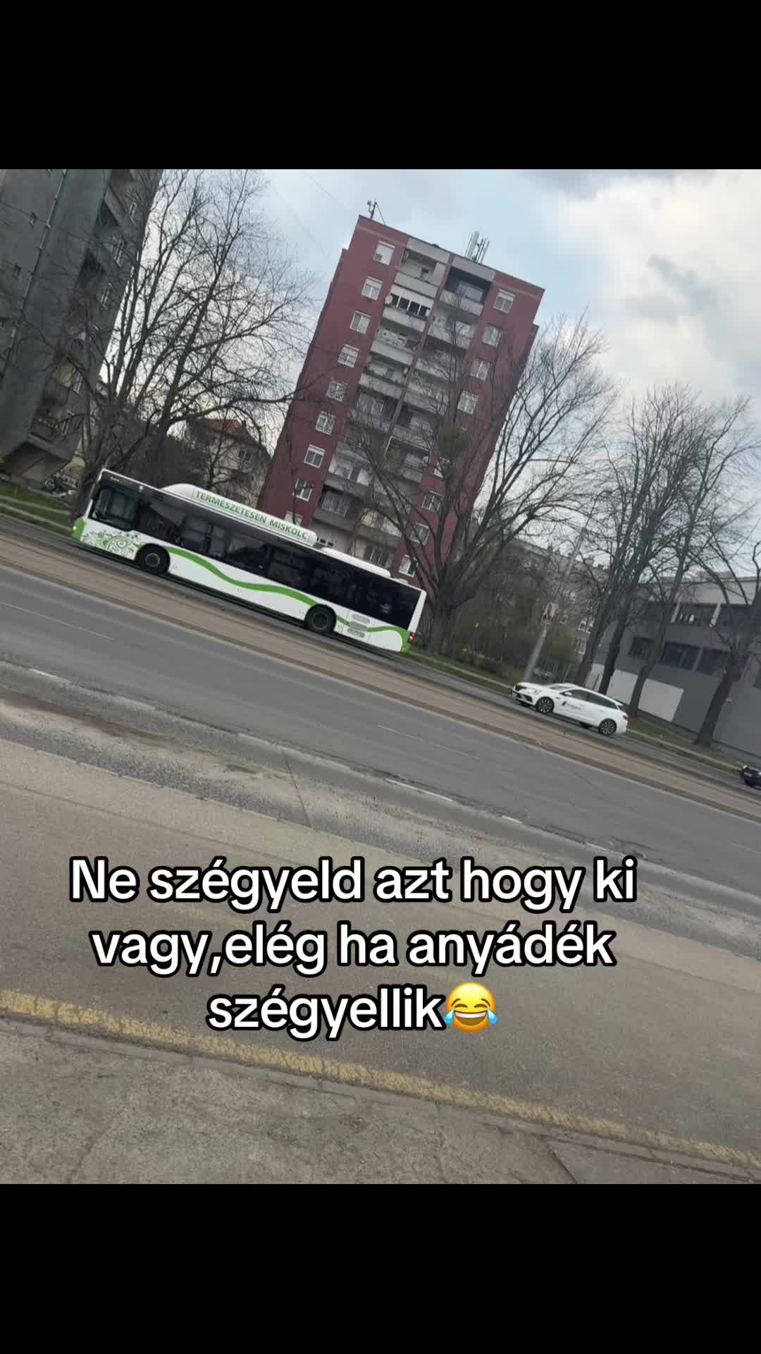 @Glonczi_kingus97