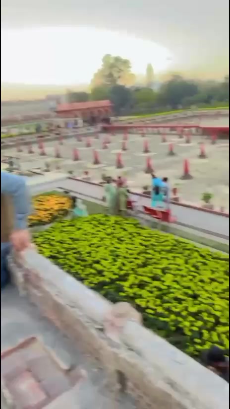 @Malik Ali 51244