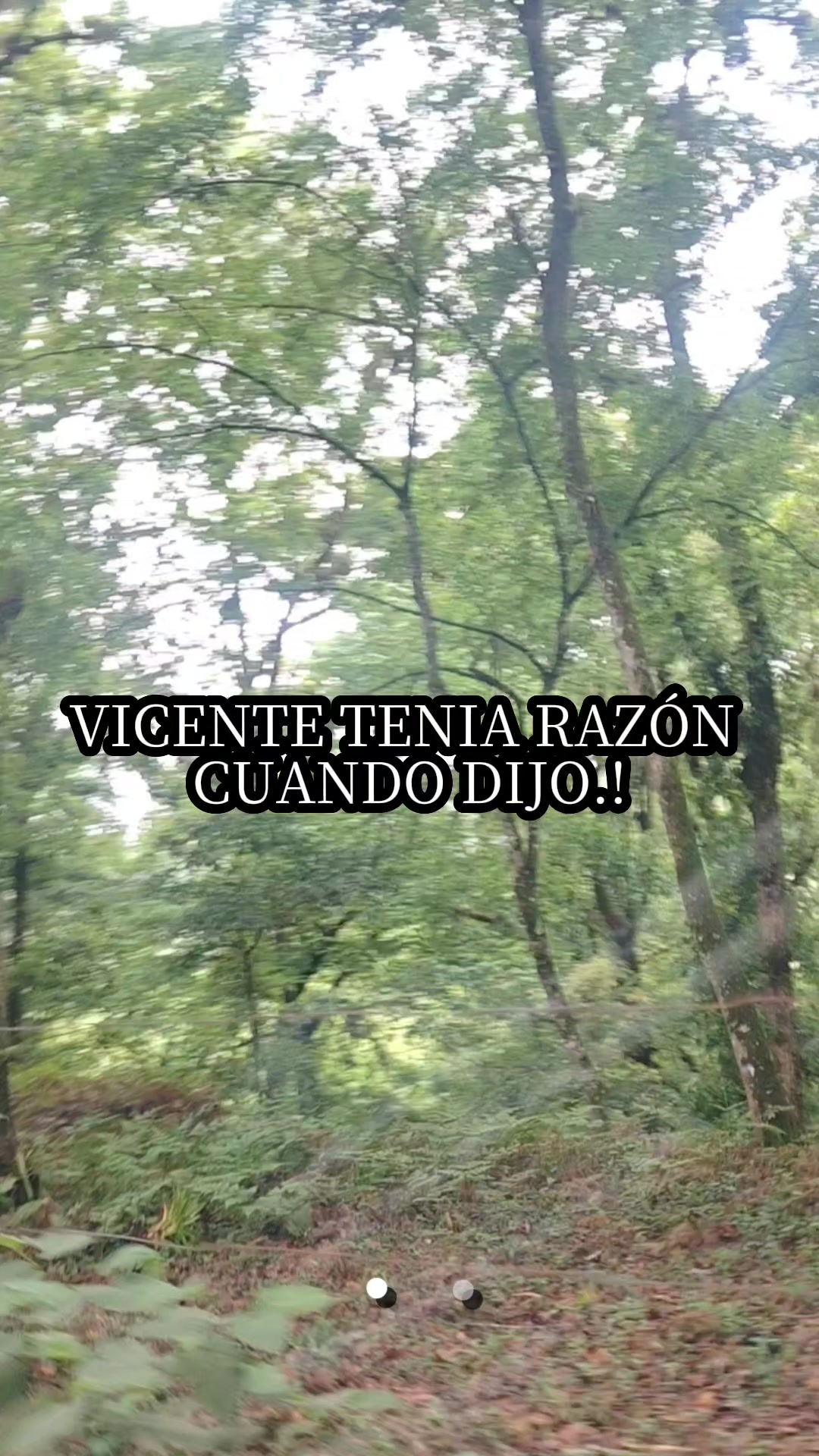 @luisfernandohcari