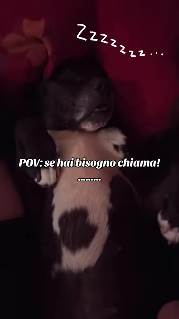 @Francesca 🖤
