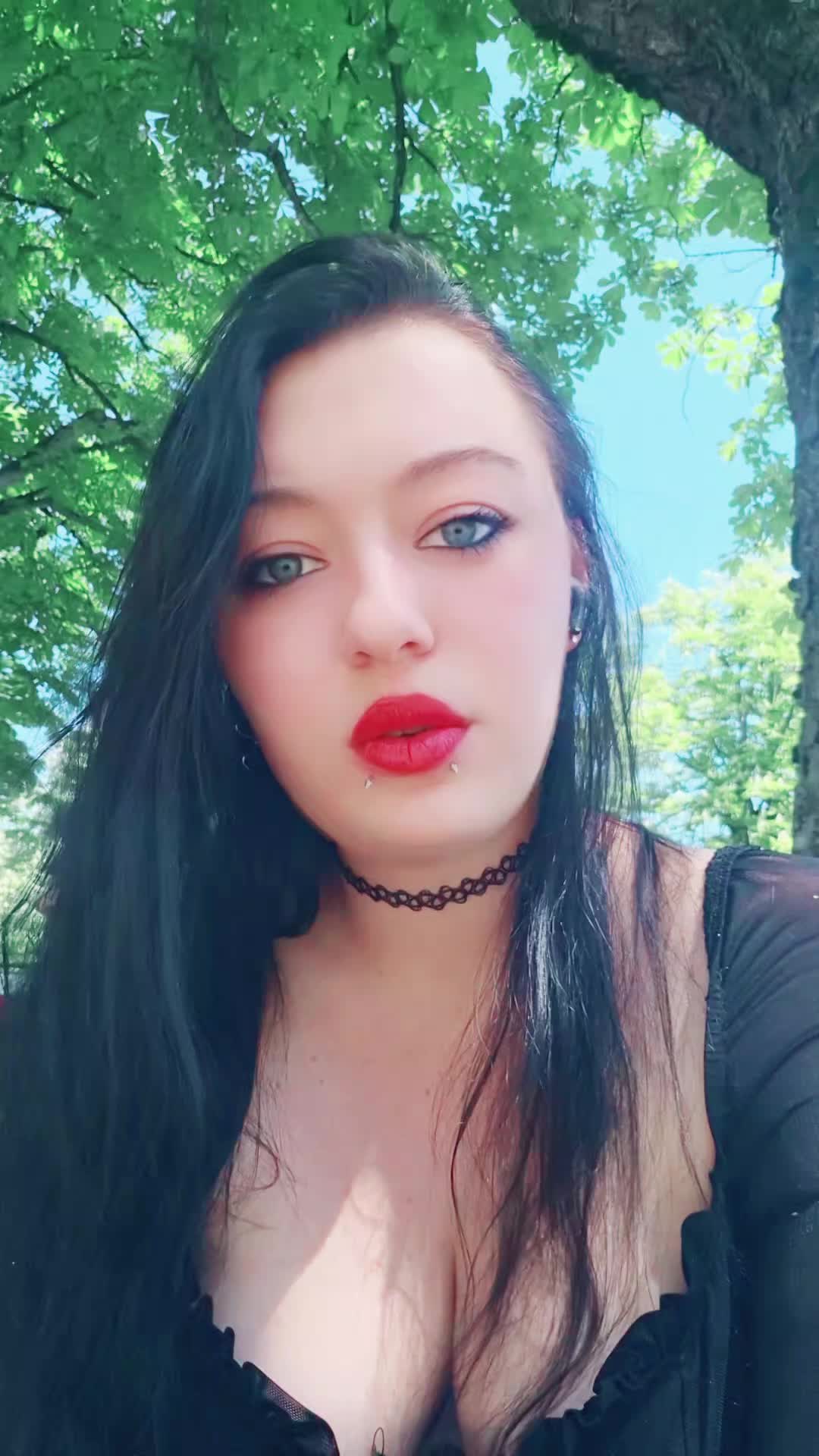 @bvb_spam