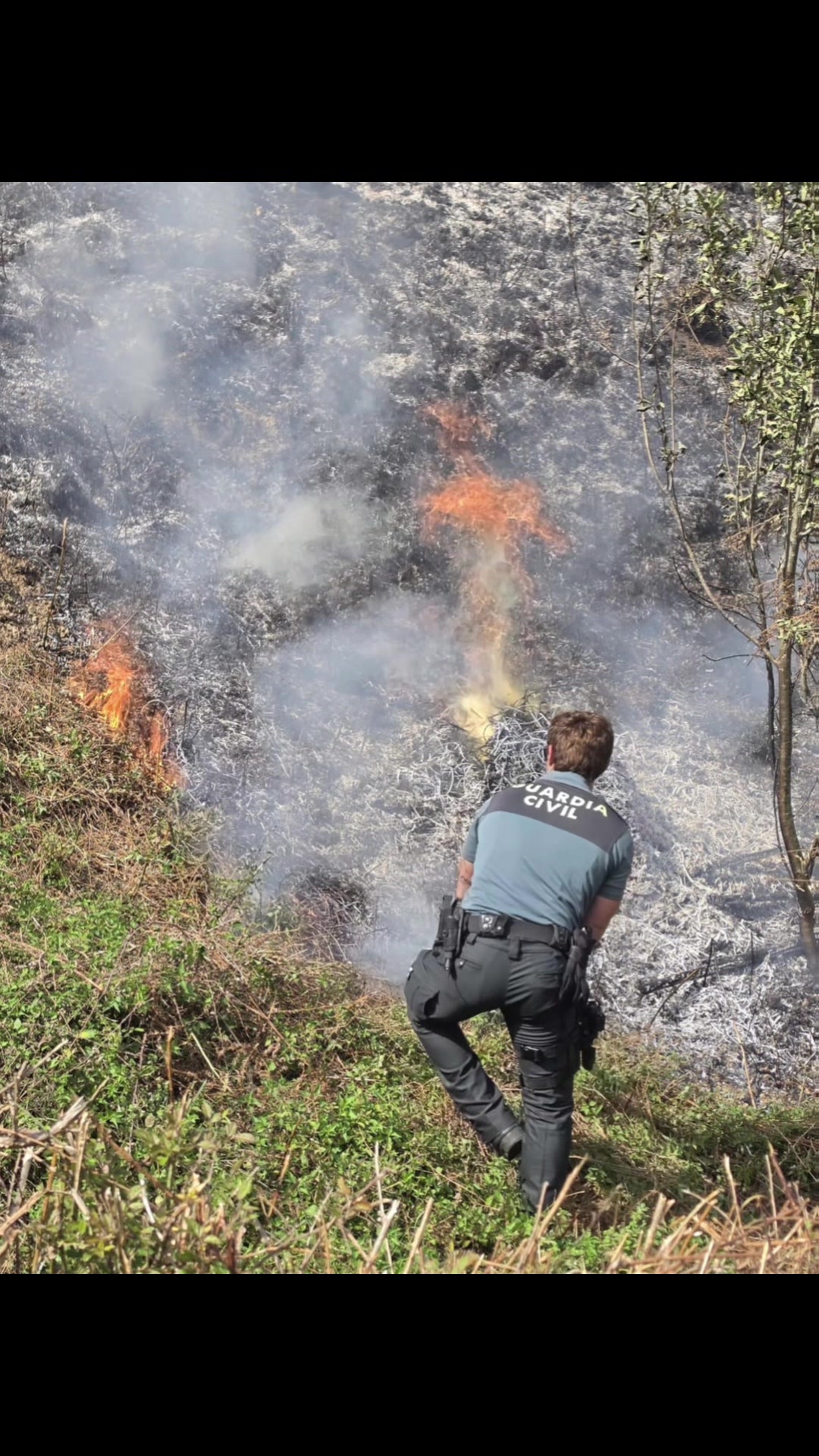 @Guardia Civil Navarra
