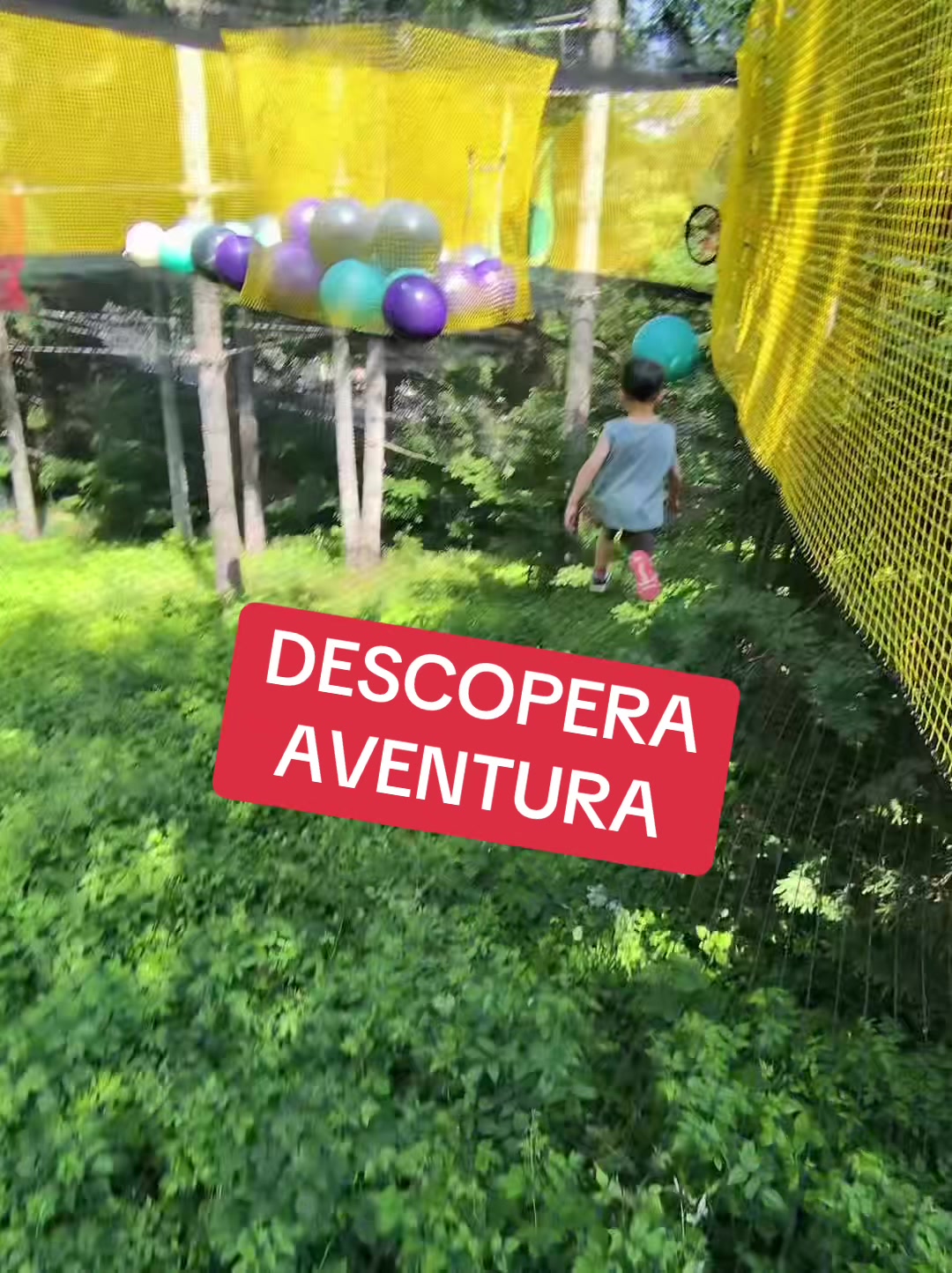 @Lucian Popa
