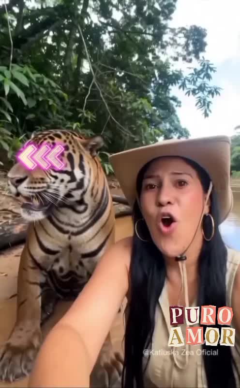 @Katiuska Zea Oficial