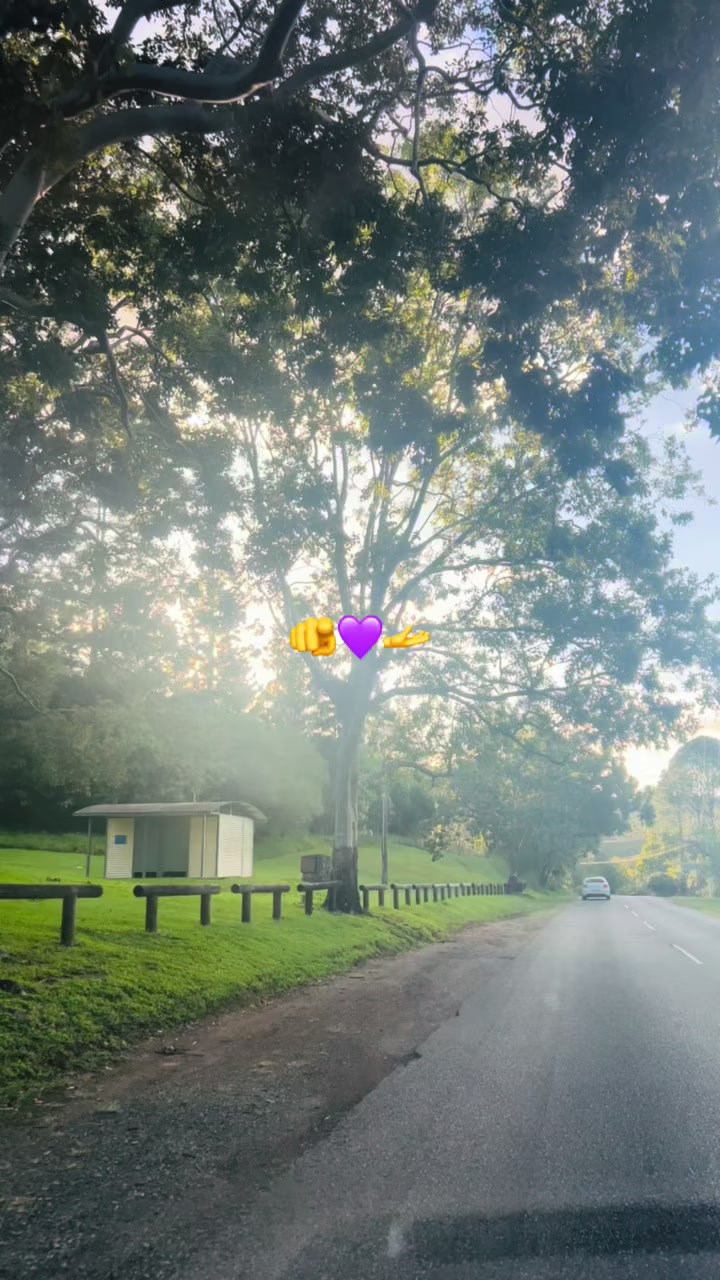@💜🌹Haniaحانئ🇦🇺🌹💜