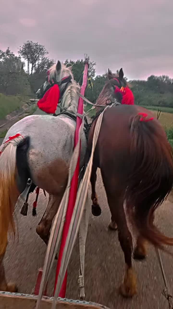 @Cătălin&hearts;️🧨