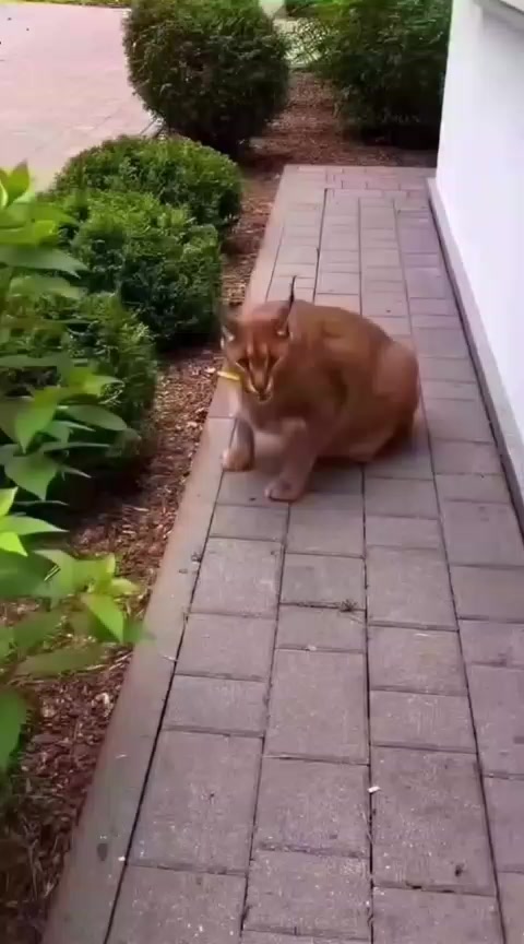 @EcuaBatman