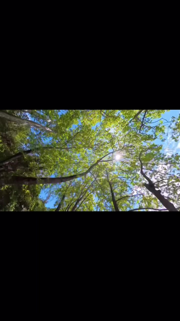 @explorerGRiders