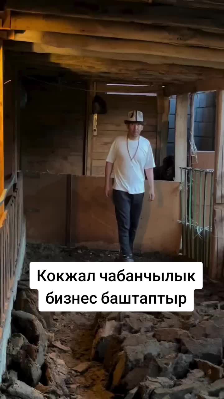 @Дикий Карышкыр🐺