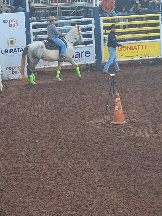 @rodeo