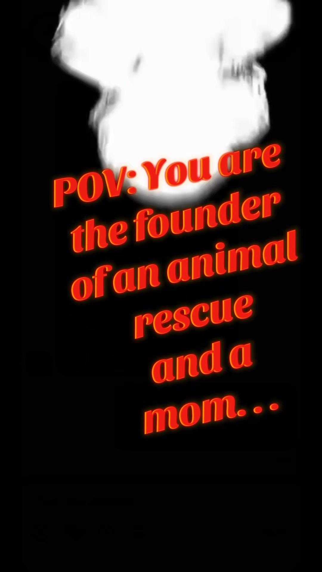 @Victory4theVoiceless