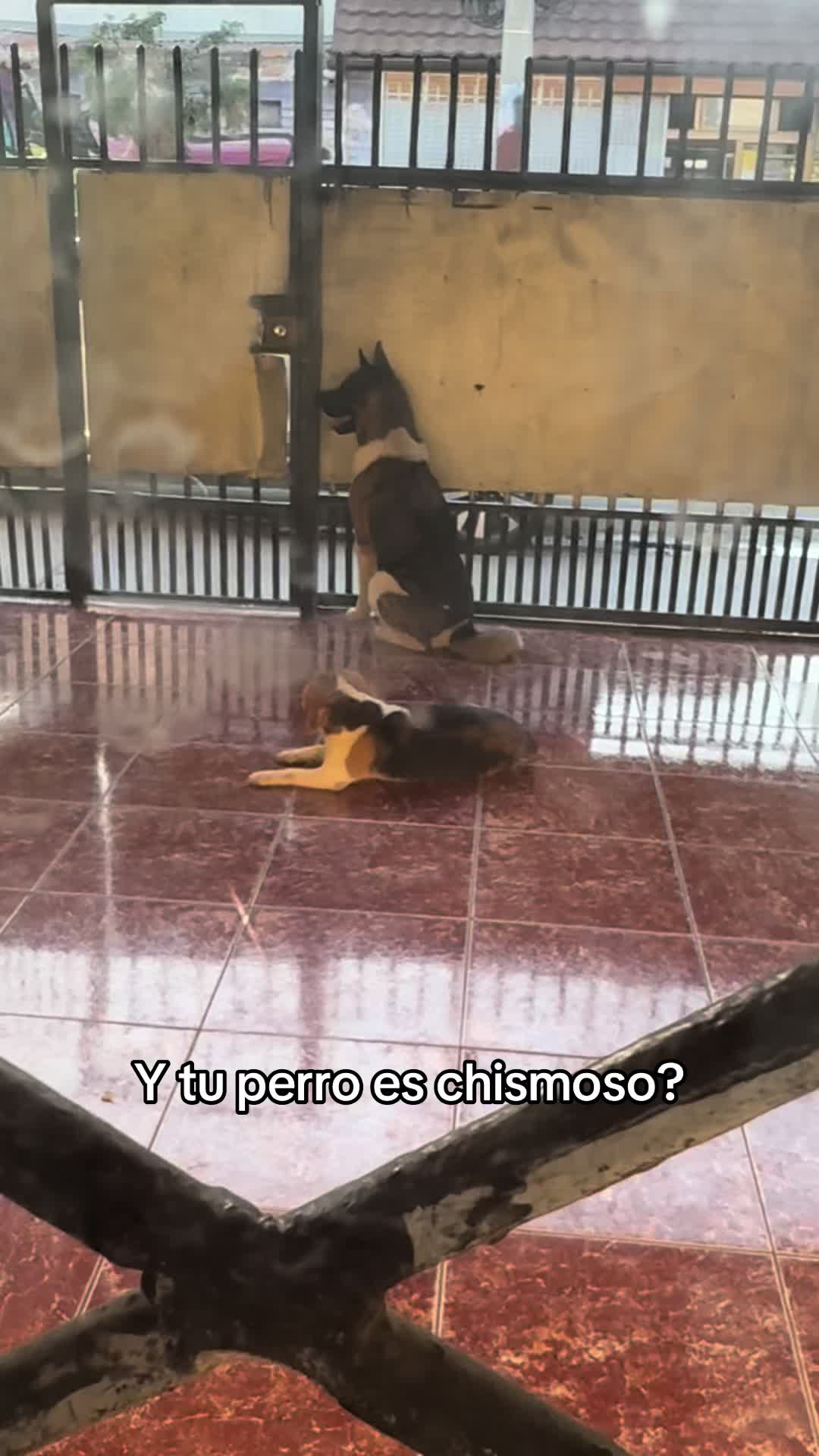 @nicotepy