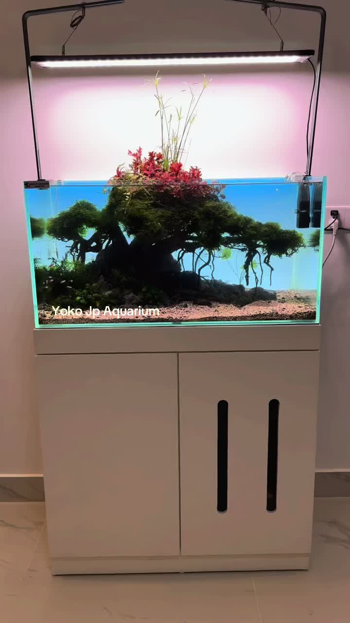 @Yoko JP Aqurium