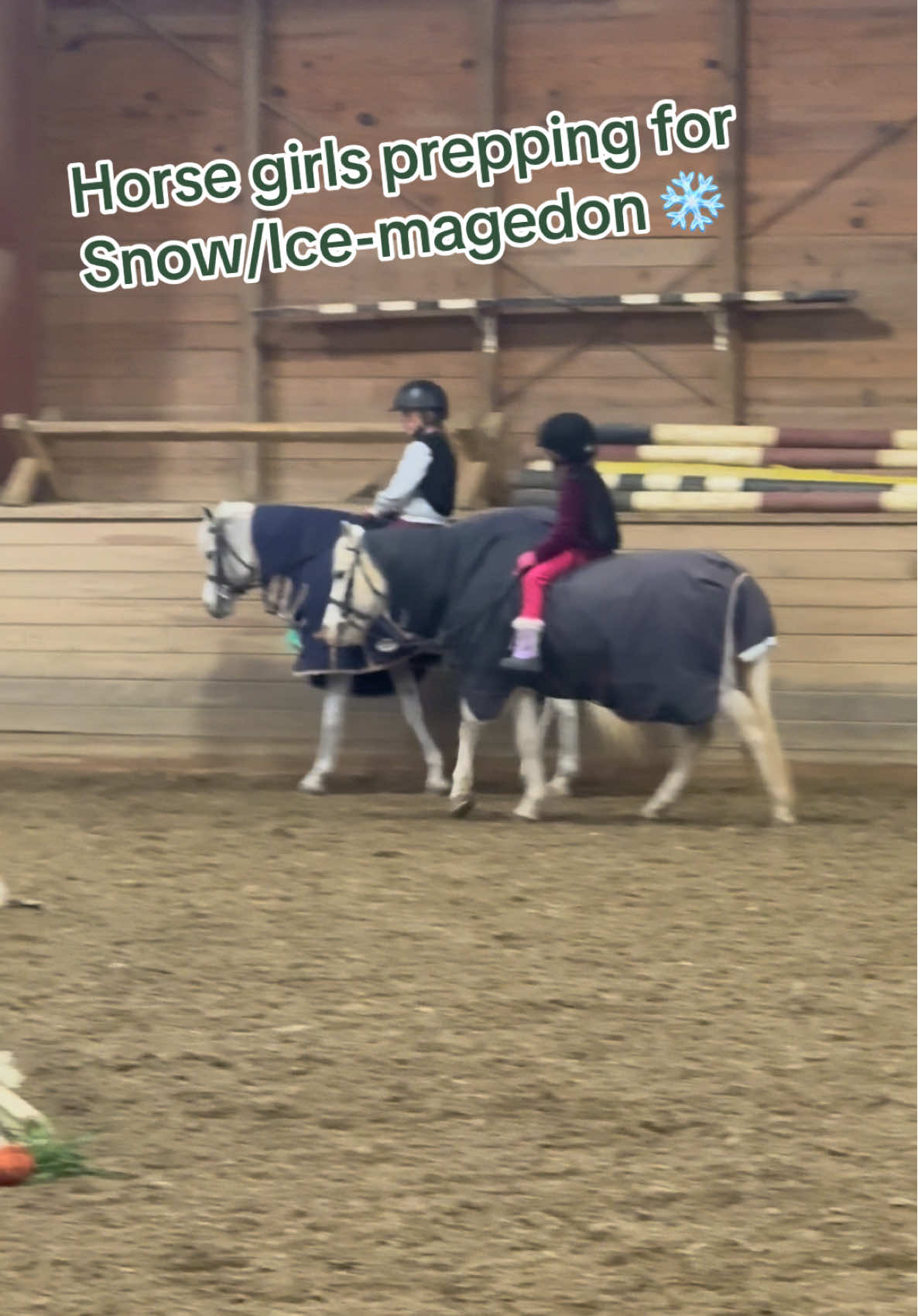 @ckponies