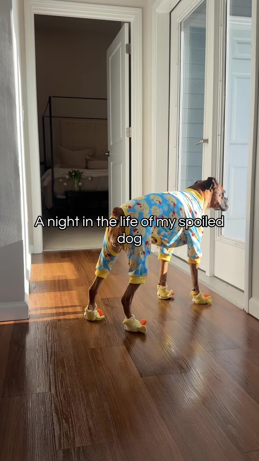 @Princess Poppy