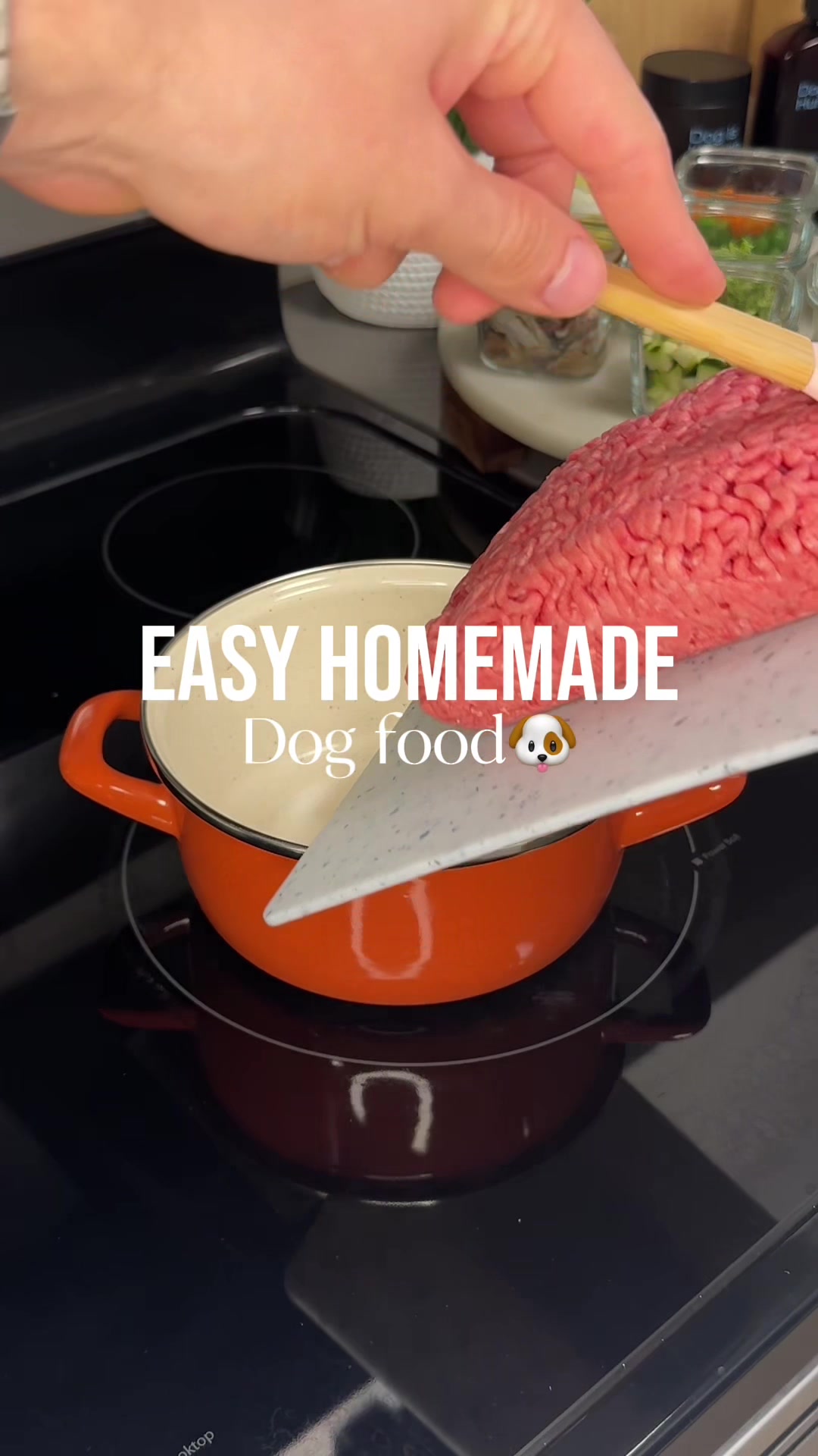 @Dog Bites Daily
