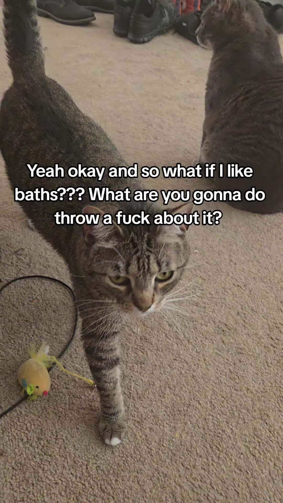 @PoochSnooch