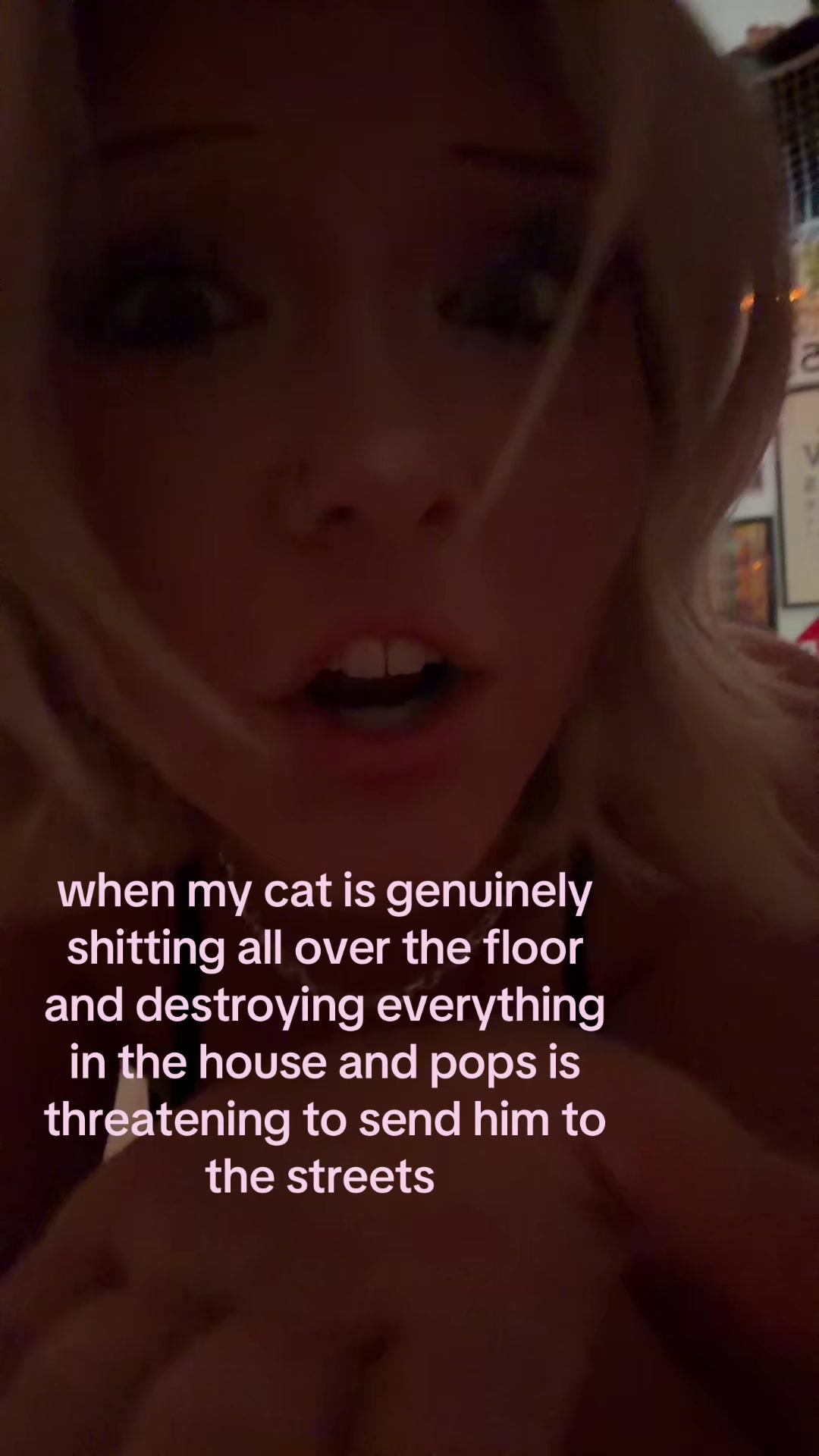 @kapriaspam