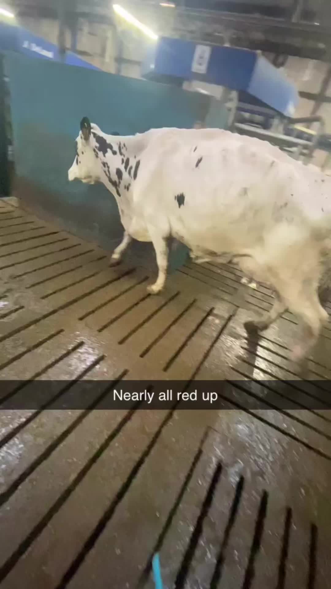 @Adam