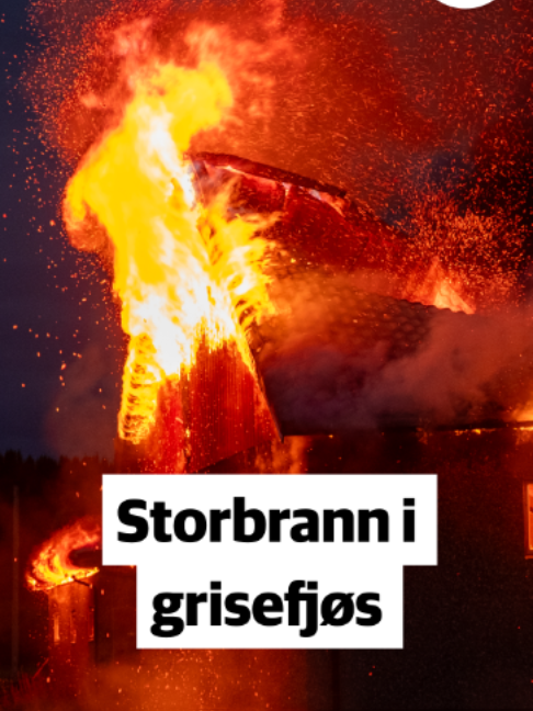 @Trønder-Avisa