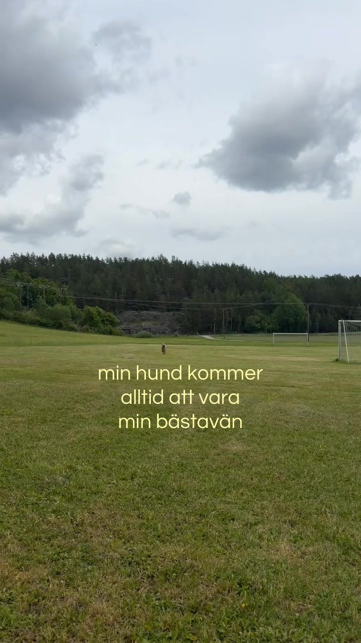 @Alva Andersson🍒
