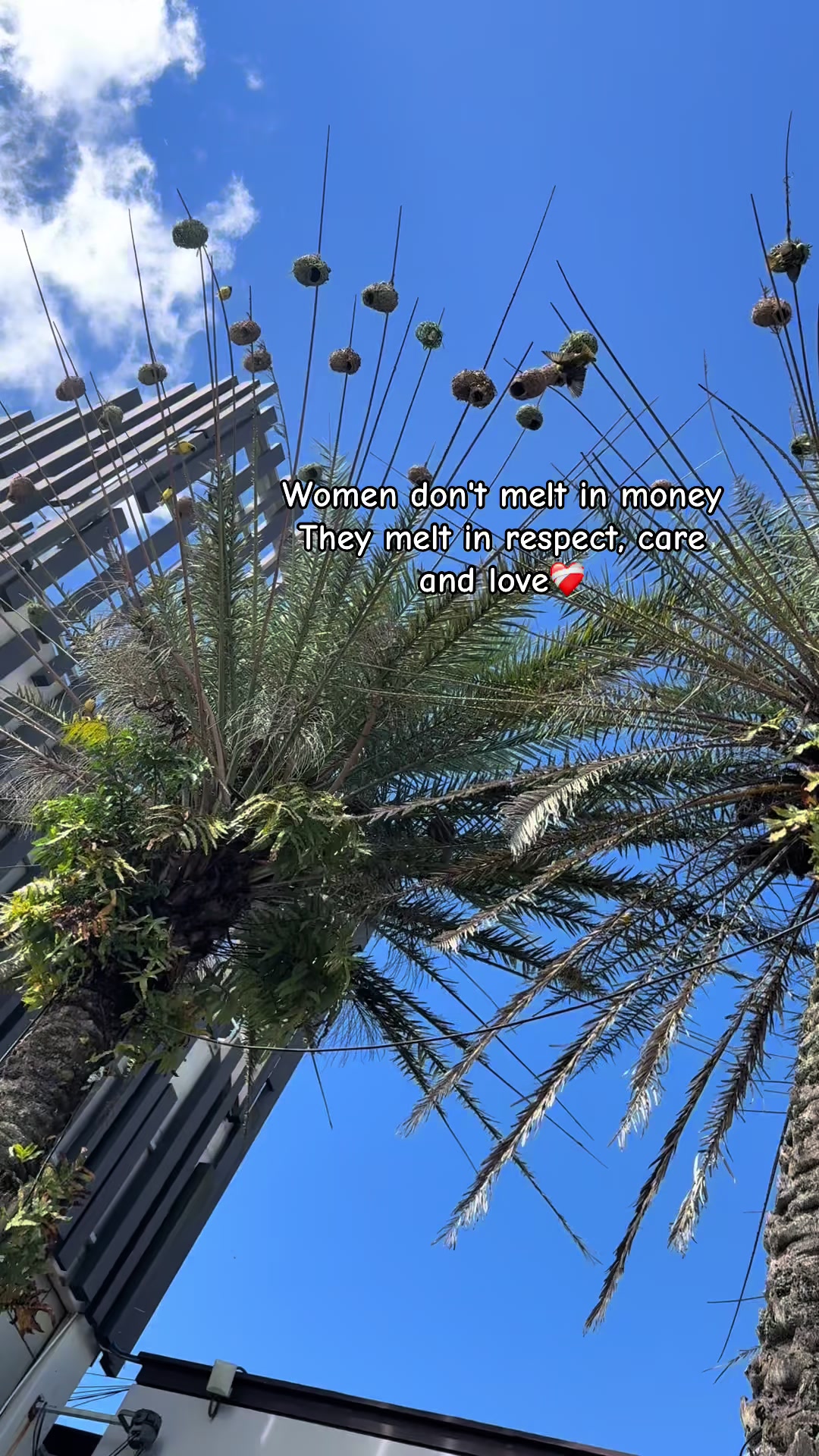 @Esha👑
