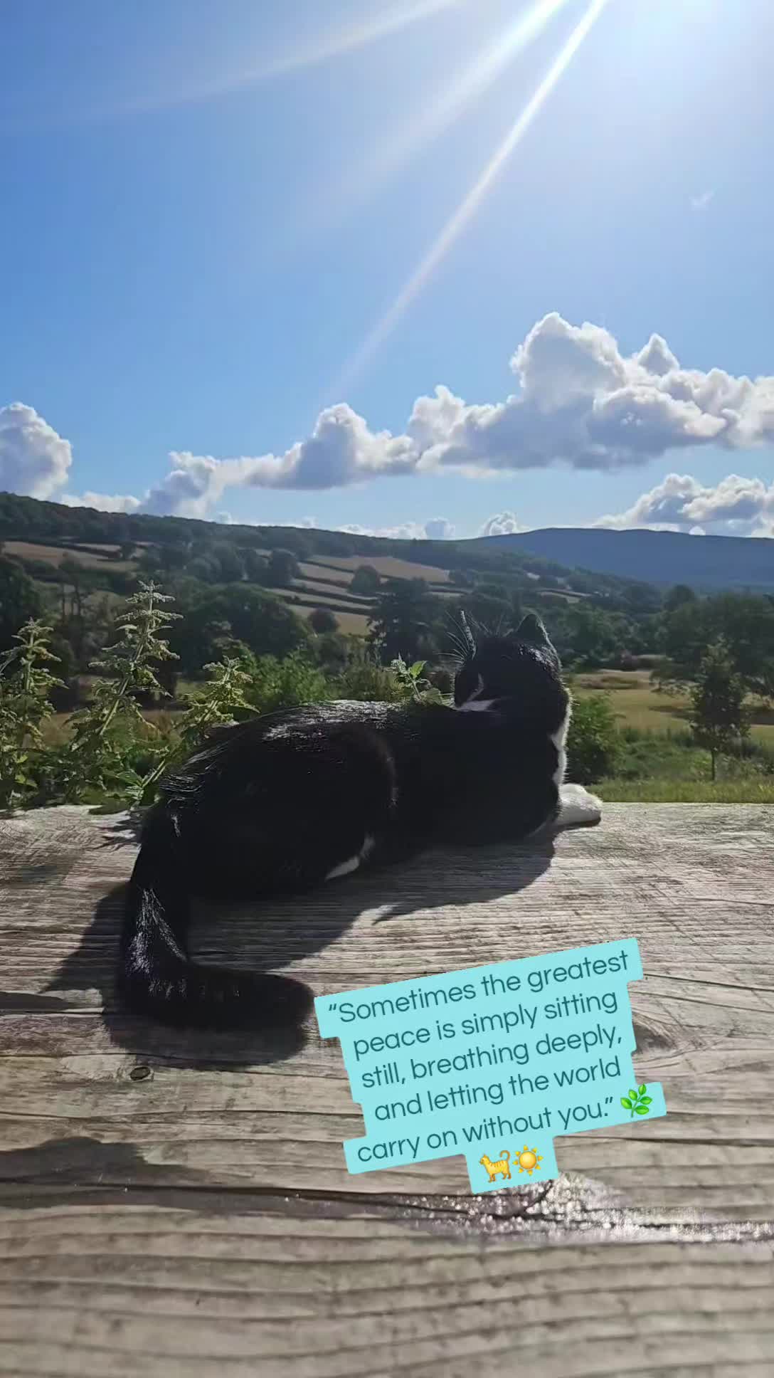 @Pray4WorldPeace