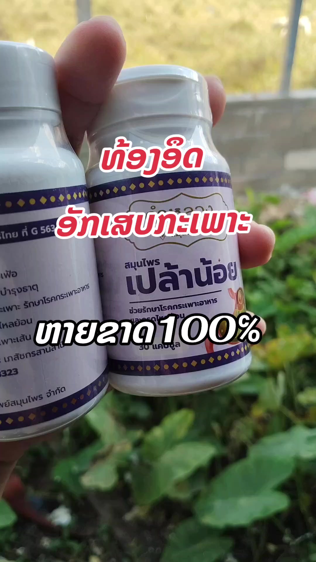@si lee