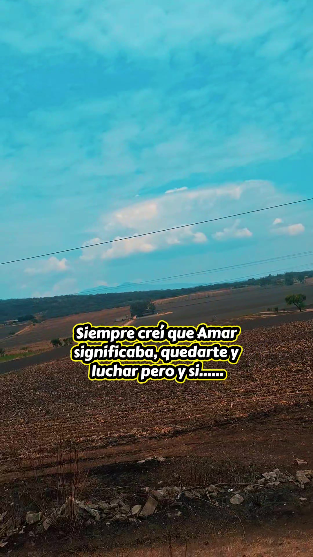 @Nahí Cdza
