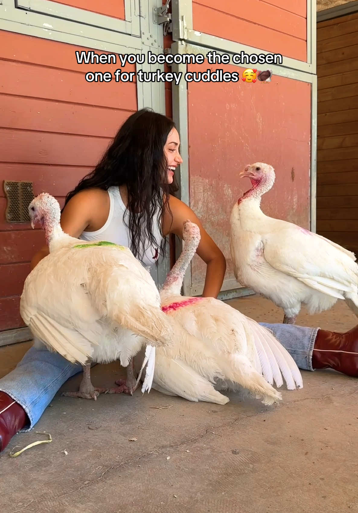 @The Gentle Barn | Sanctuary