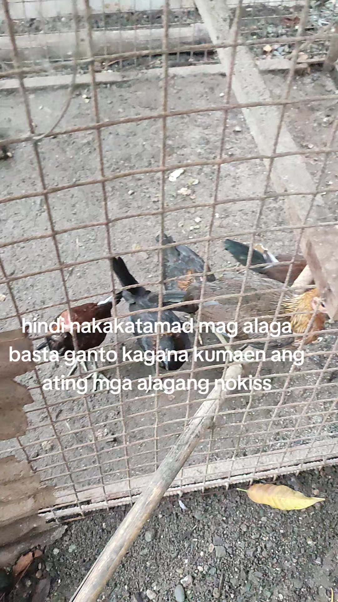 @kaymark alejandro
