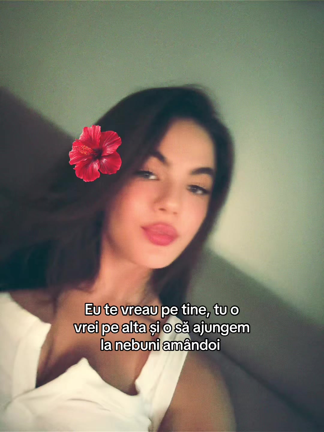 @Bianca Cernat ᴱᵈᵐ🐆