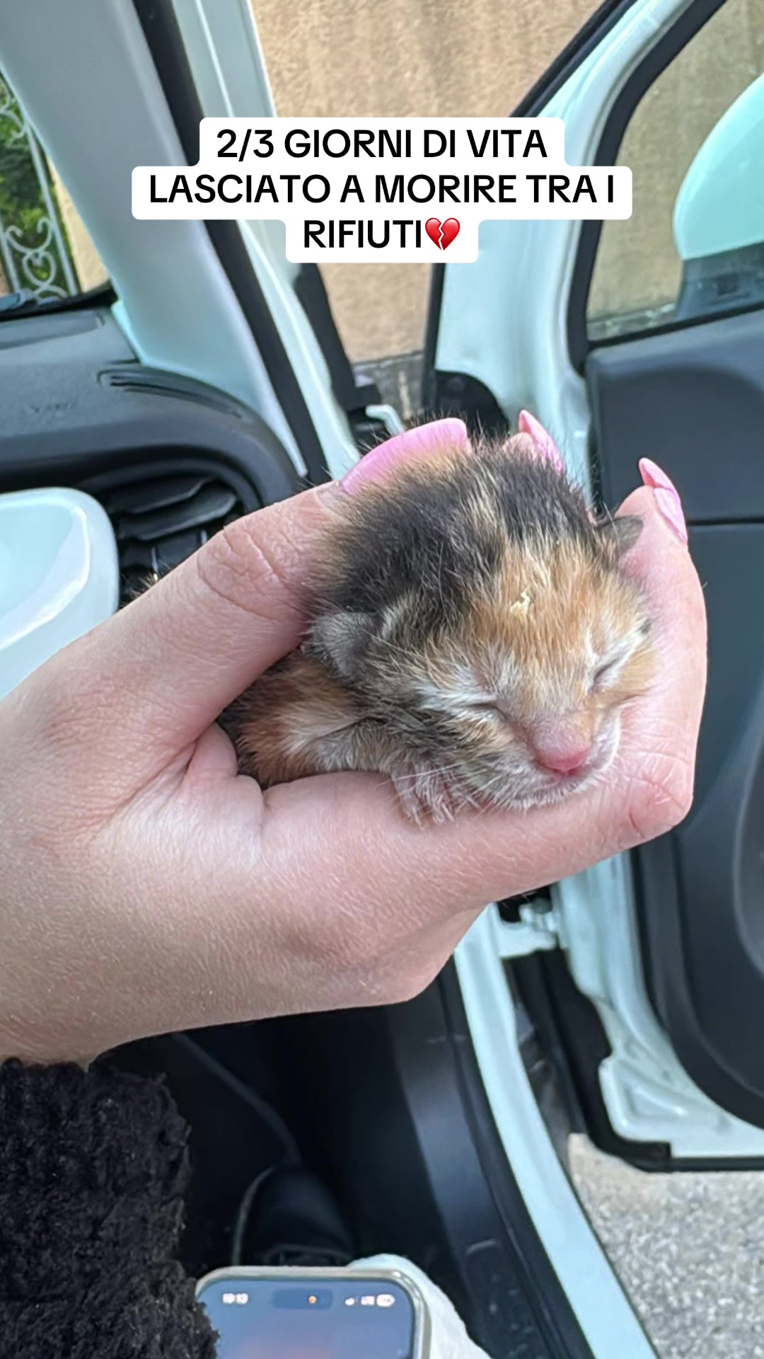 @Jessica Vecchio